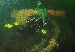 Diver and bow gun on wreck of H.M.S. Saucy.
Firth of For... by Mike Clark 